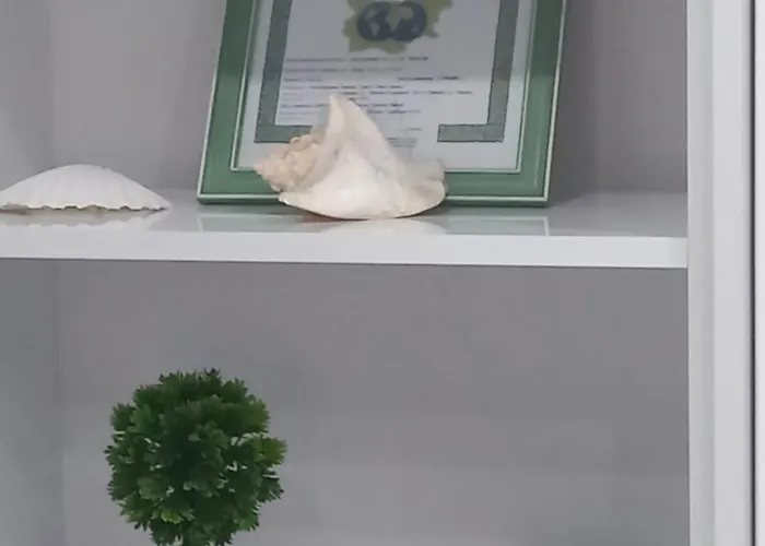 Krisiya In Apartament *